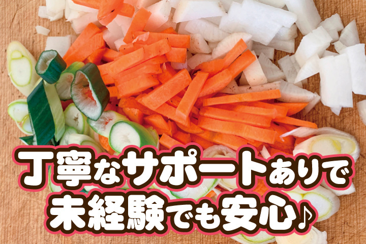 未経験でも安心