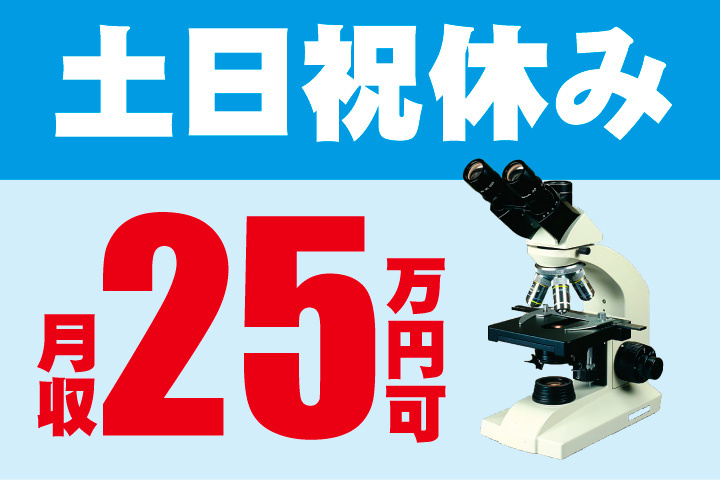 月収25万円可