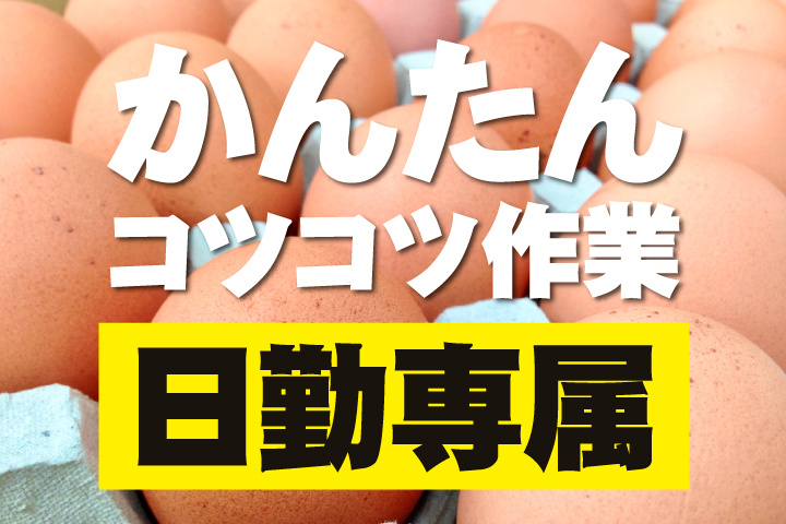 日勤専属