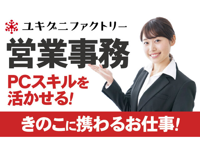 写真1