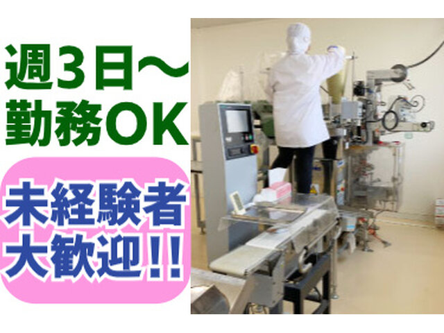 写真1