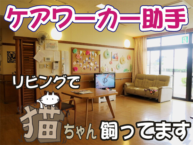 写真1