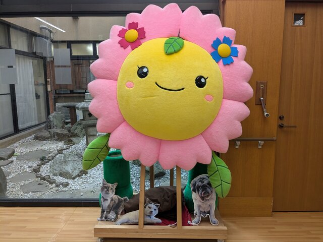 写真1