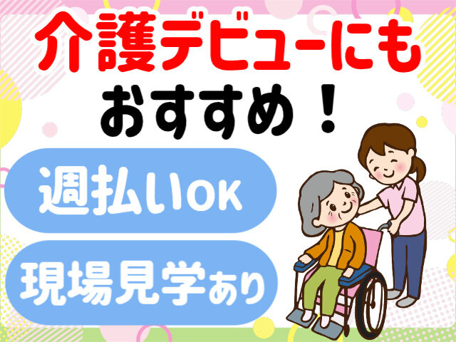 写真1