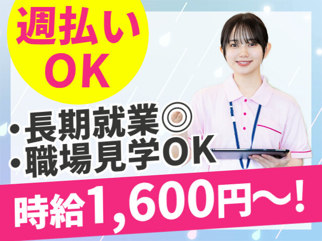写真1