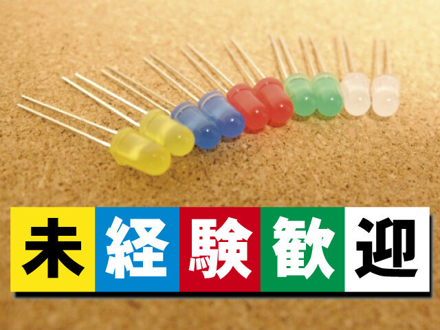 写真1