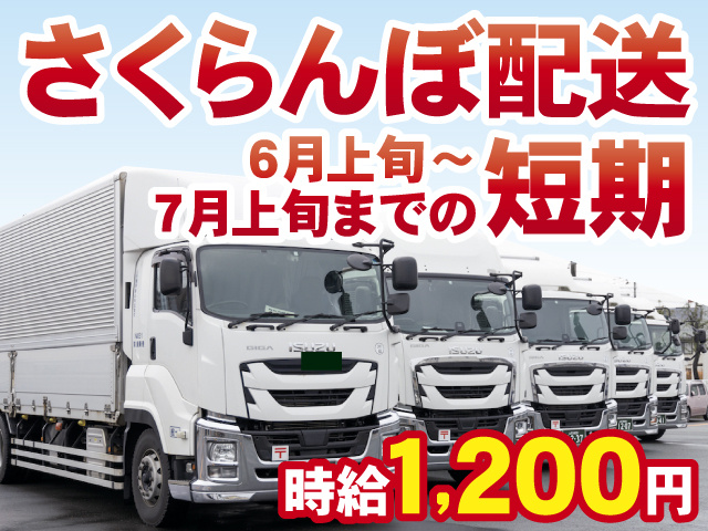 さくらんぼ配送　6月上旬～7月上旬までの短期　時給1200円