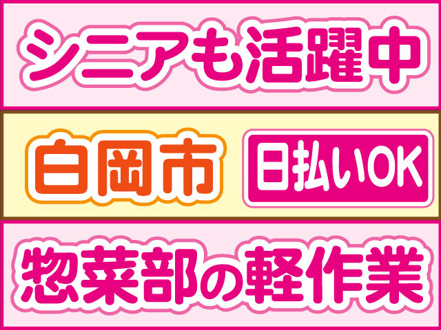 惣菜部の軽作業　シニアも活躍中　日払いOK　白岡市