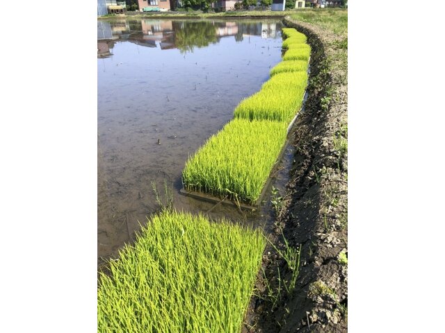 写真1