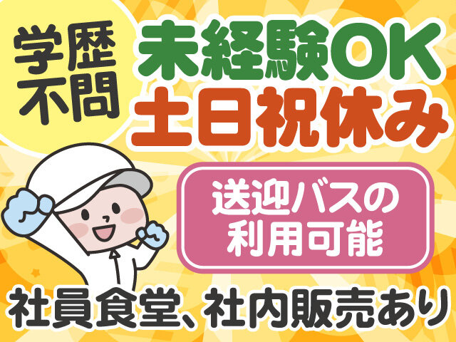 写真1