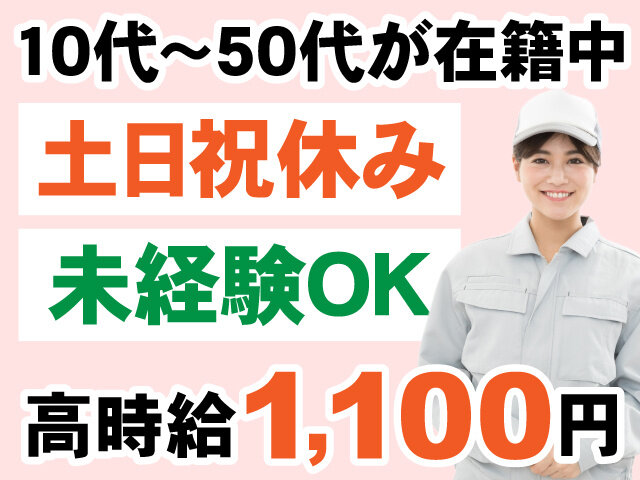 写真1