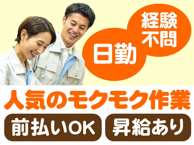 写真1