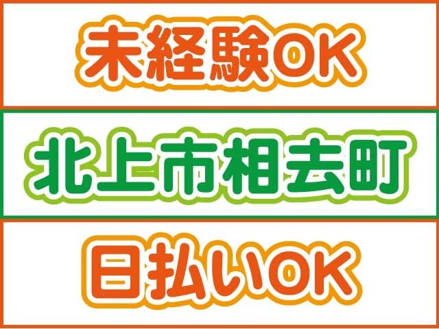 写真1