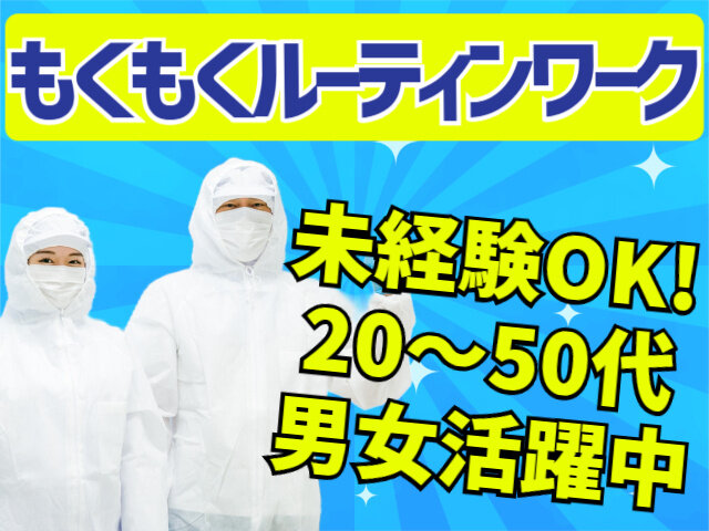 写真1