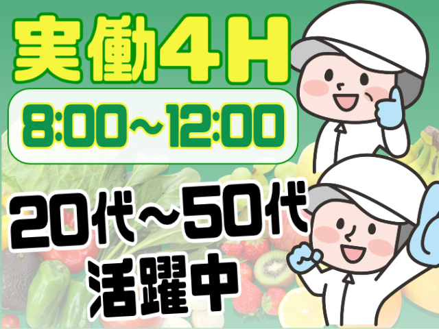 8:00～12:00までの実働4H！20代～50代活躍中