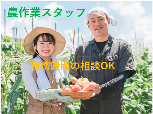 写真1