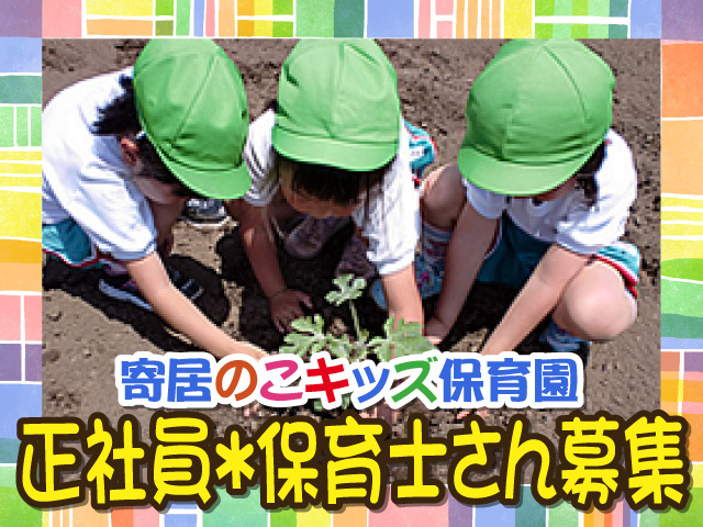 寄居のこキッズ保育園、正社員＊保育士さん募集