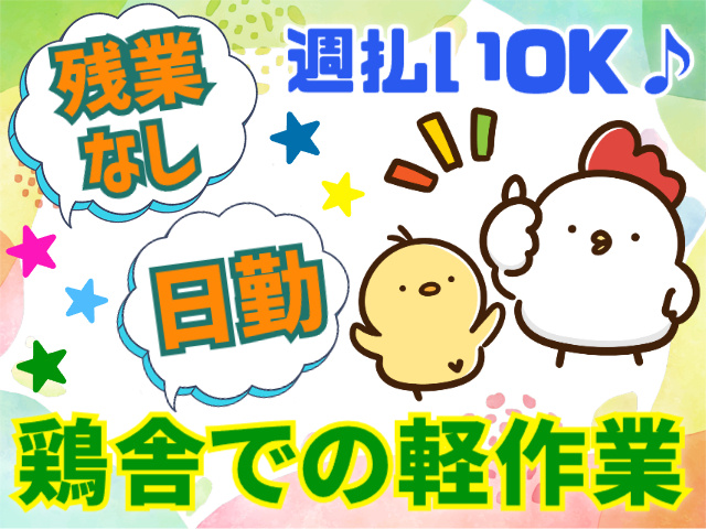 鶏舎での軽作業・週払いOK・残業なし・日勤