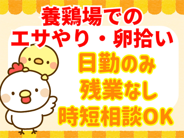 養鶏場でのエサやり・卵拾い・日勤のみ・残業なし・時短相談OK