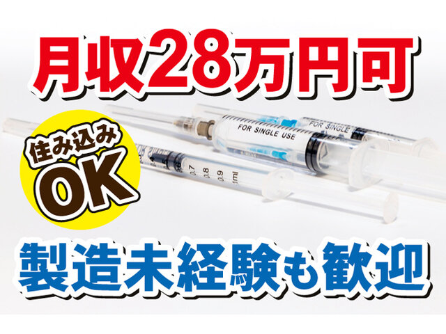写真1