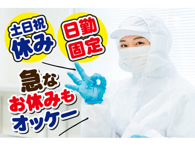 写真1