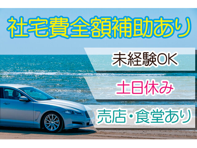 写真1