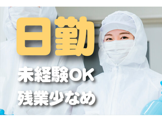 写真1