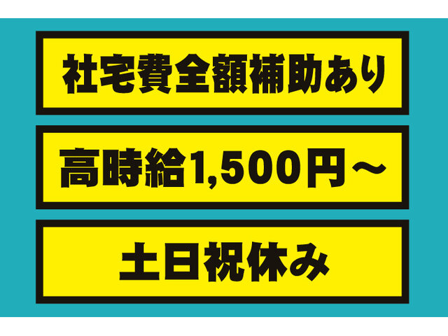 写真1