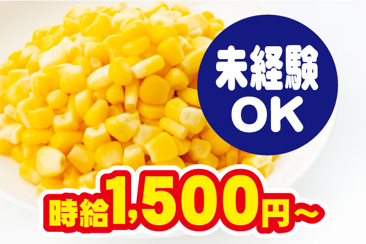 時給1,500円～