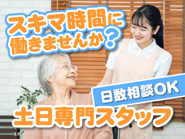 写真1