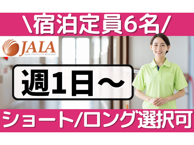 写真1
