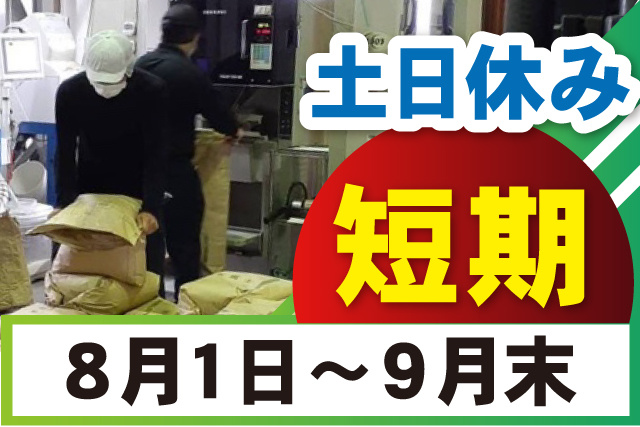 短期/土日休み