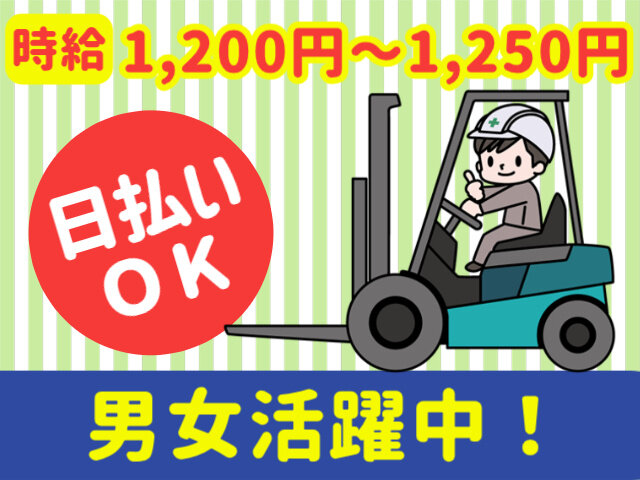 写真1