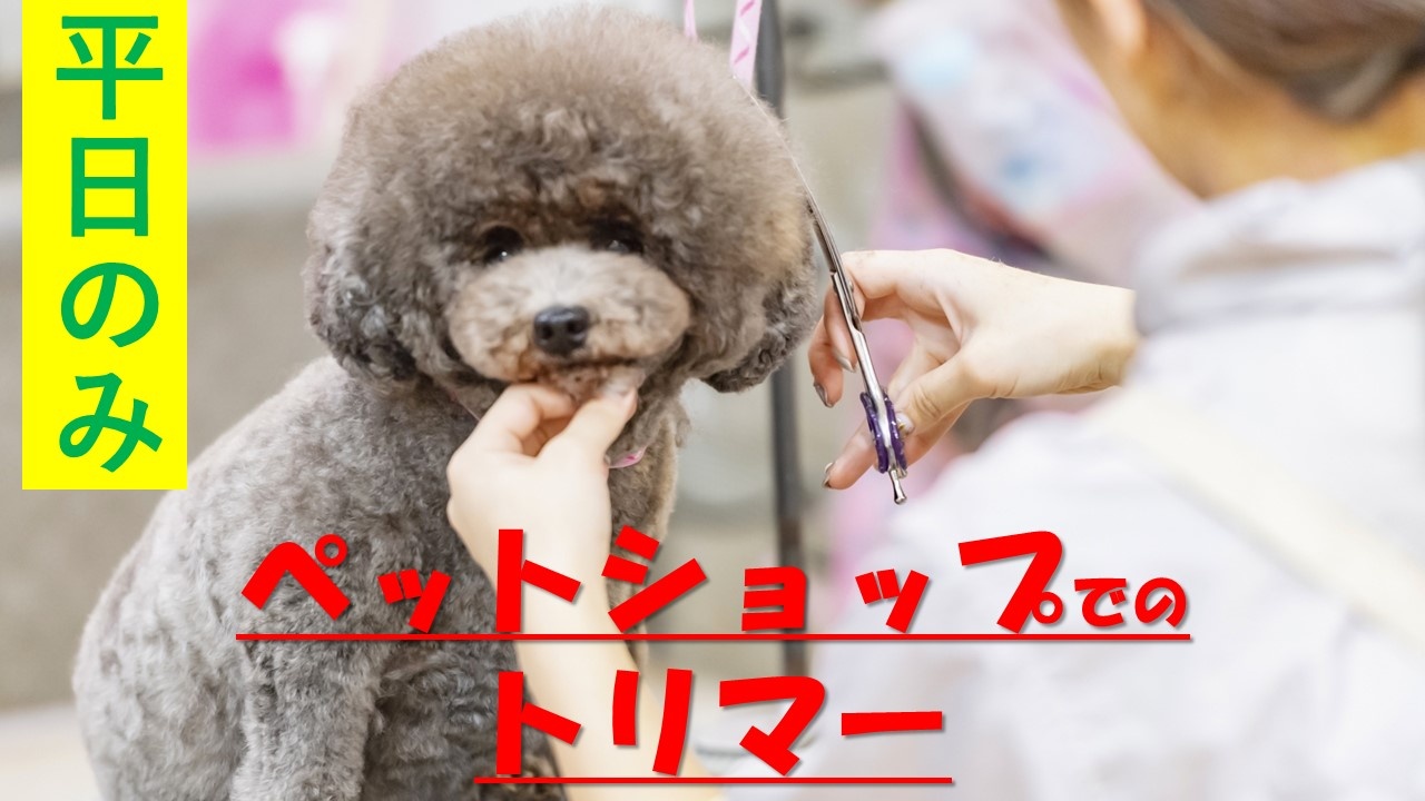 トリマー