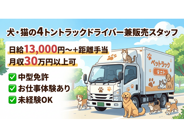 写真1