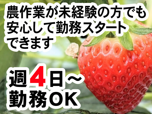 やたがい農園の求人情報を見る