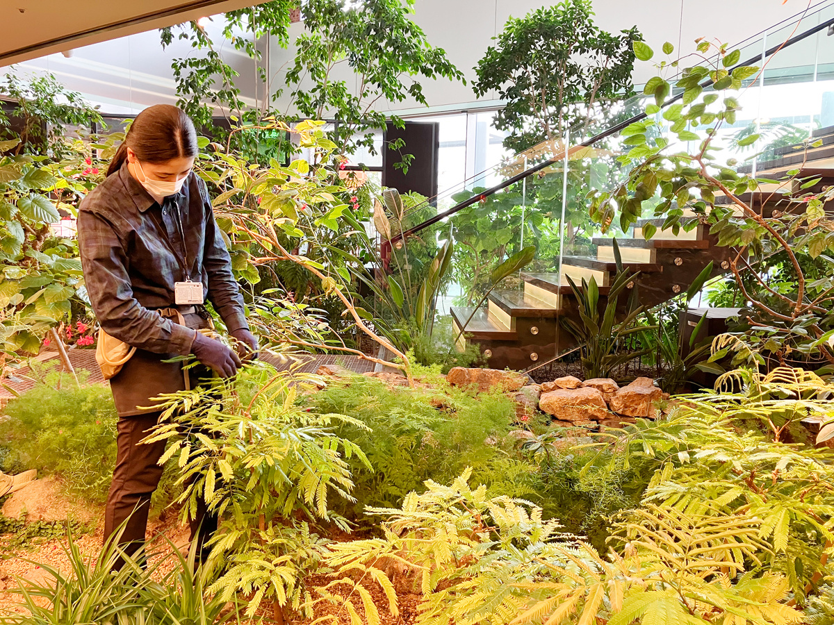 植栽管理