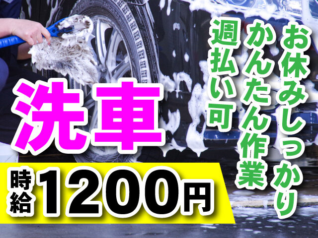 写真1