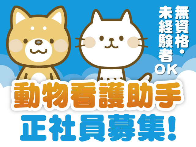 無資格・未経験者OK!動物看護助手！正社員募集！犬猫のイラスト