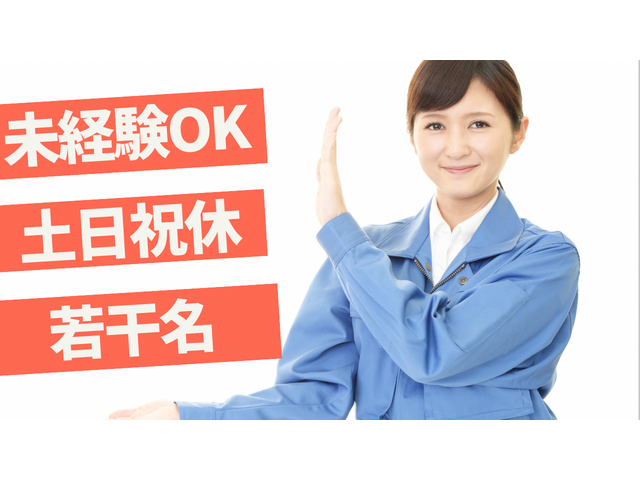 写真1