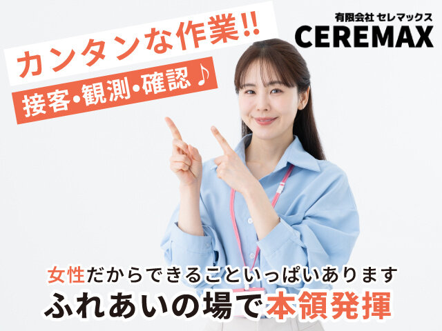 写真1