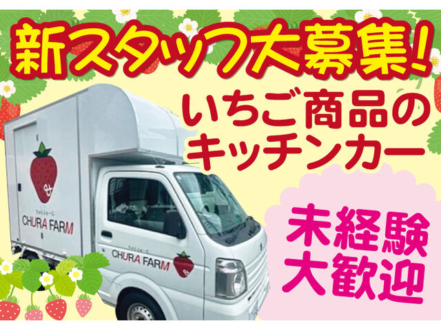 写真1