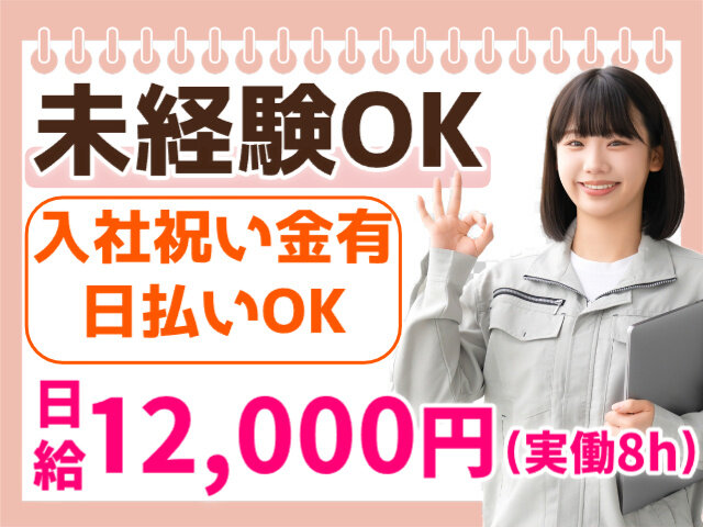 写真1