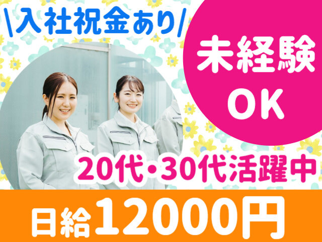 写真1