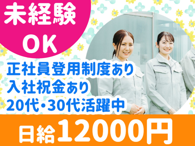 未経験OK　正社員登用制度あり　入社祝い金あり　20代30代活躍中　日給12000円