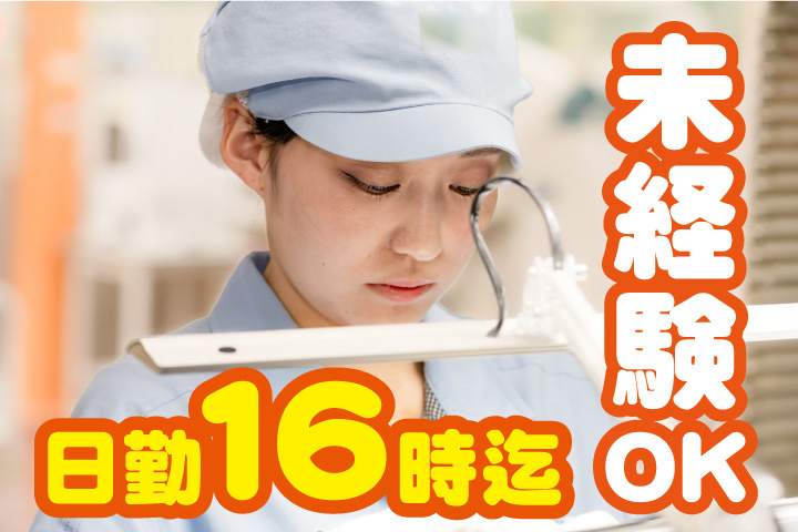 未経験OK！16時まで