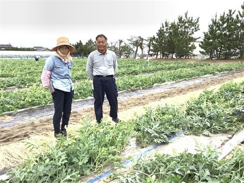 男女の農作業スタッフ