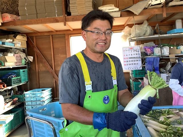 大根の洗い作業
