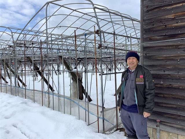 ビニールハウス