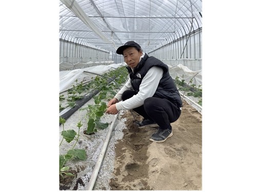 農家さんとビニールハウス